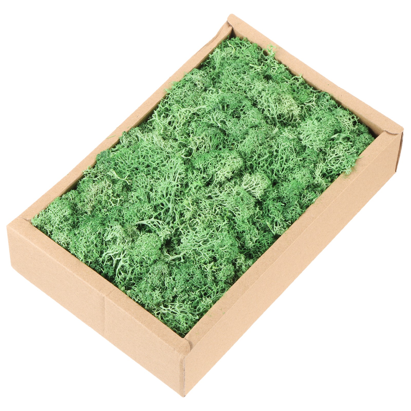 7.8oz Preserved Reindeer Moss, Green Decorative Artificial Fake Moss
