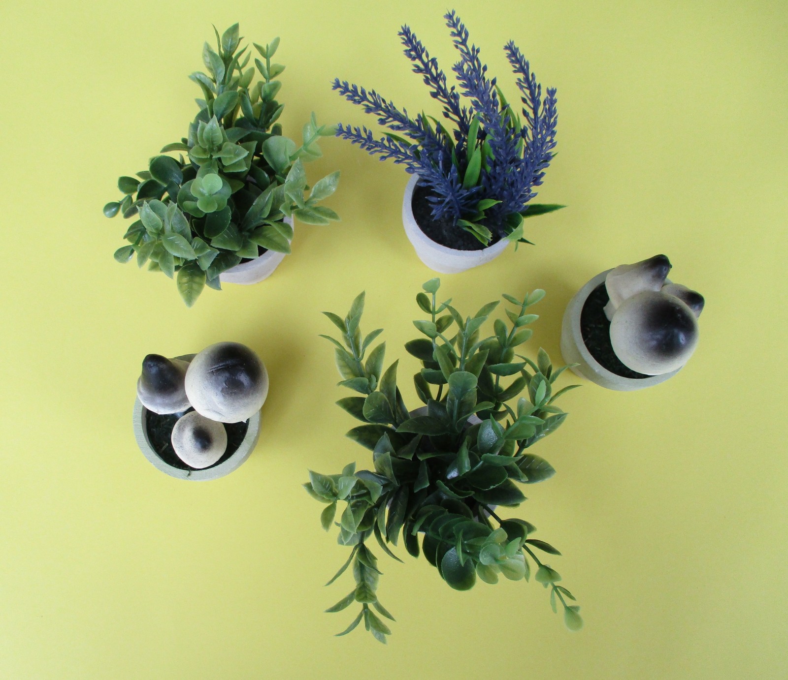 5 PLANTS IN POTS Artificial Small Fake home/office MUSHROOMS LAVENDAR GREENS