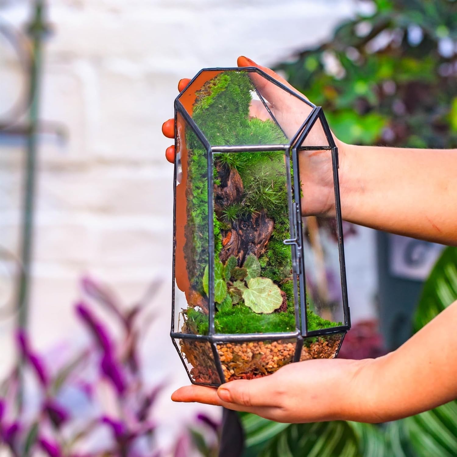 Compact Irregular Glass Terrarium Planter – 5.1” Indoor Decor for Moss & Fern