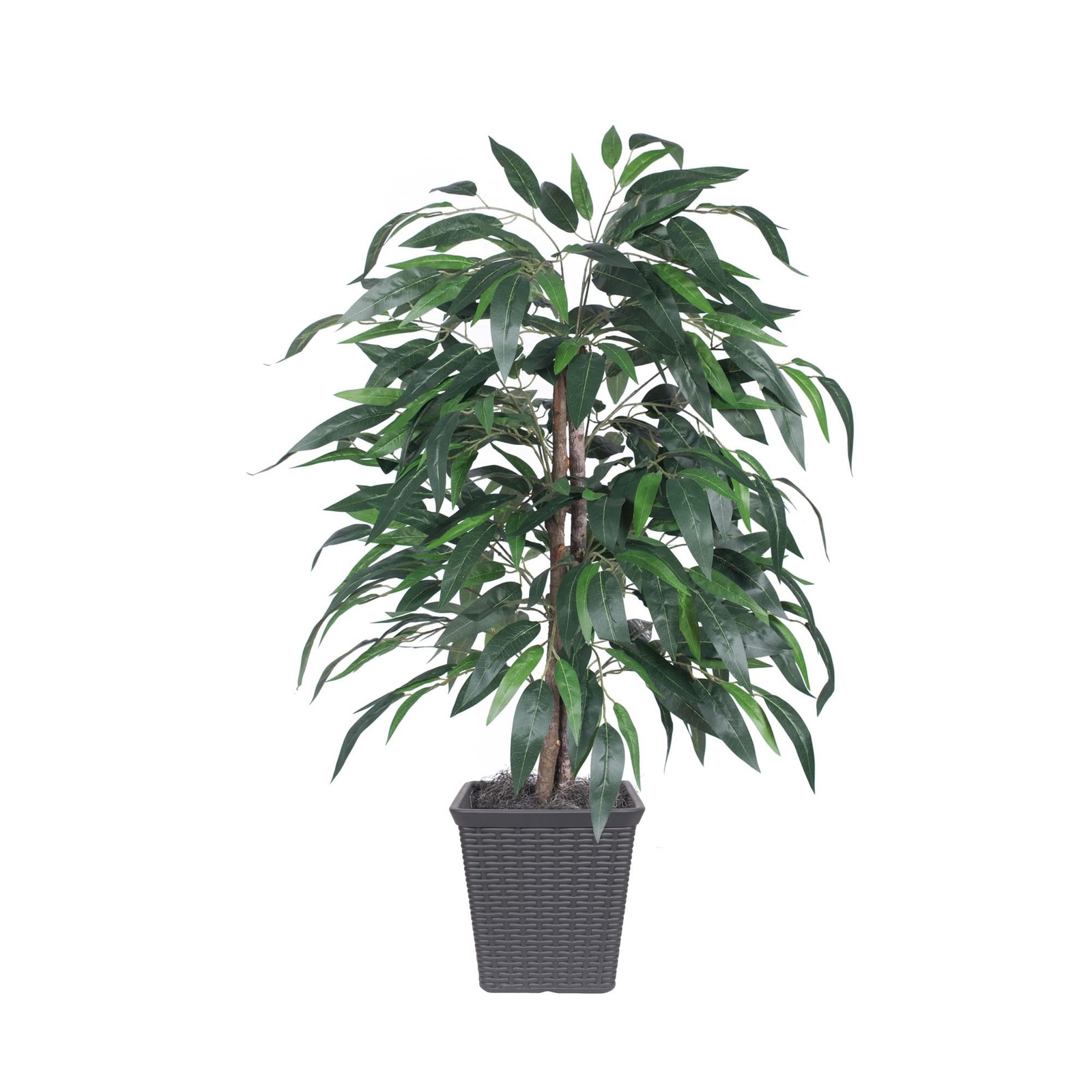 Vickerman 4′ Artificial Mango Bush. Gray Square Plastic Container
