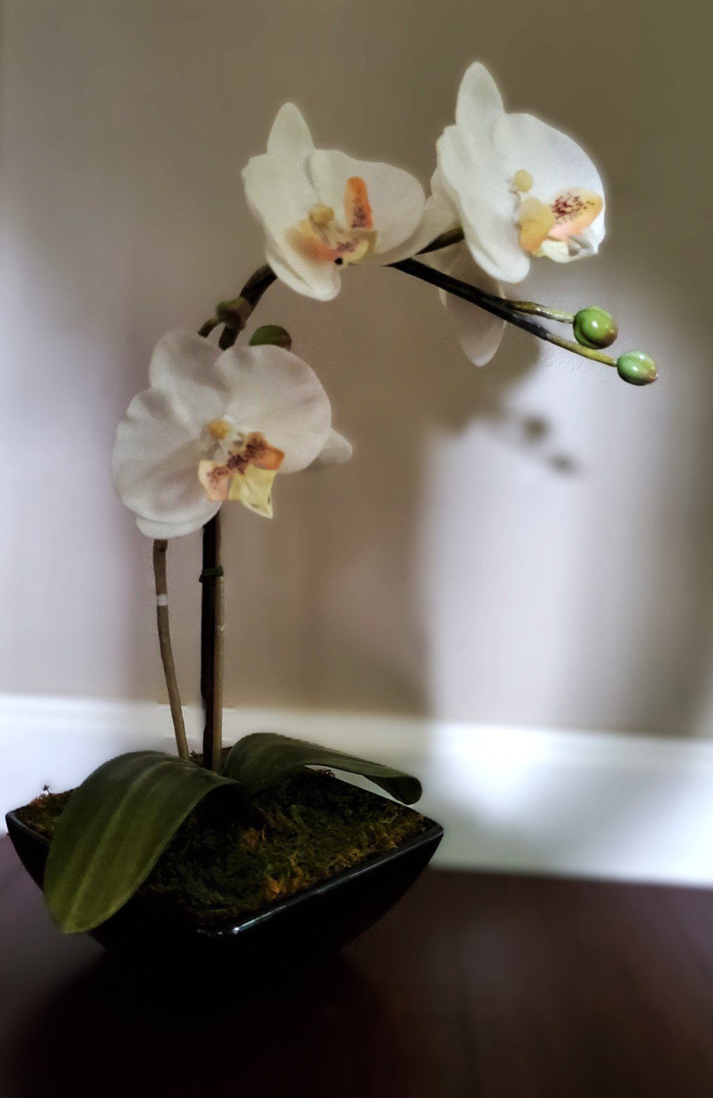Artificial Flower Arrangement White Phalaenopsis Orchid 16″ in 6x6x2.5 black pot