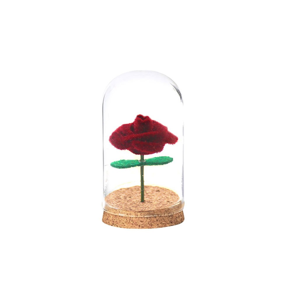 4Pcs Durable Transparent Glass Bell Jar Covers for Flower Protection