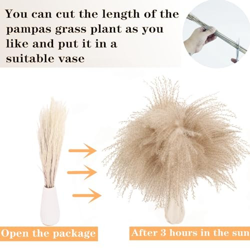 Dried Pampas Grass Decor, 128PCS Pampas Grass with Bunny Tails Dried Flowers,