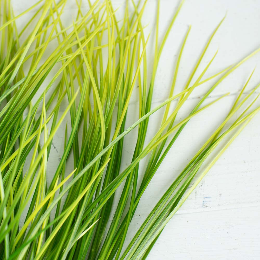 Set of 2 Artificial 21″ Indoor / Outdoor Monkey Grass Bushes