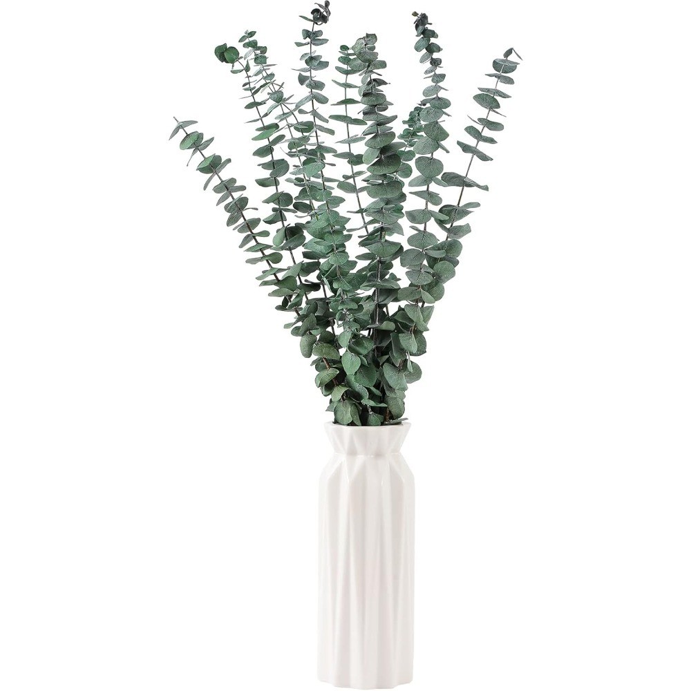 10 Pcs Dried Eucalyptus Stems 17″ Real Eucalyptus for Shower Hanging 100% Made