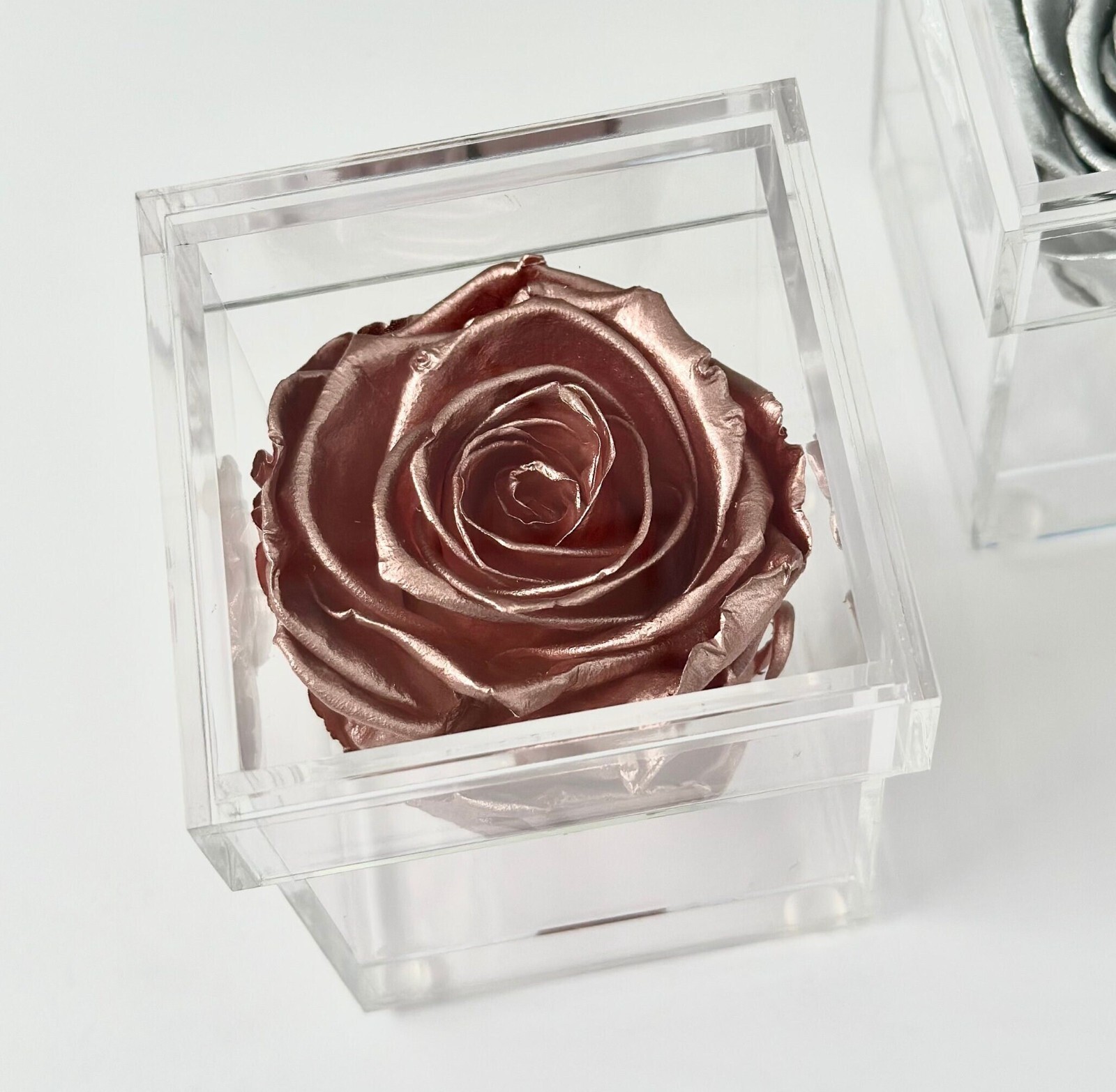 Preserved Rose in a Personalized Clear Acrylic Box – Bridal Party Gifts