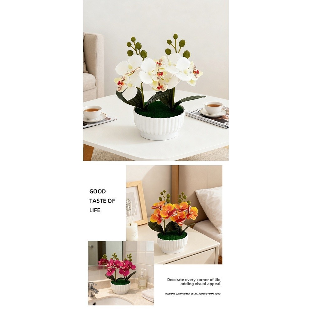 Phalaenopsis Orchid Simulation Potted Flower for Contemporary Interior Design