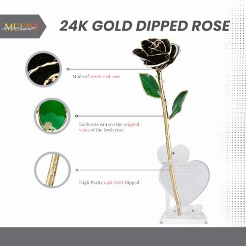 24K Gold Rose Birthday Mother’s Day Valentine’s Day for Mom Daughter Black