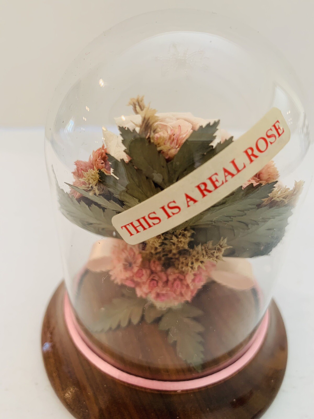 Vintage Preserved Real Pink Roses in Glass Case *4 in x 5 in*