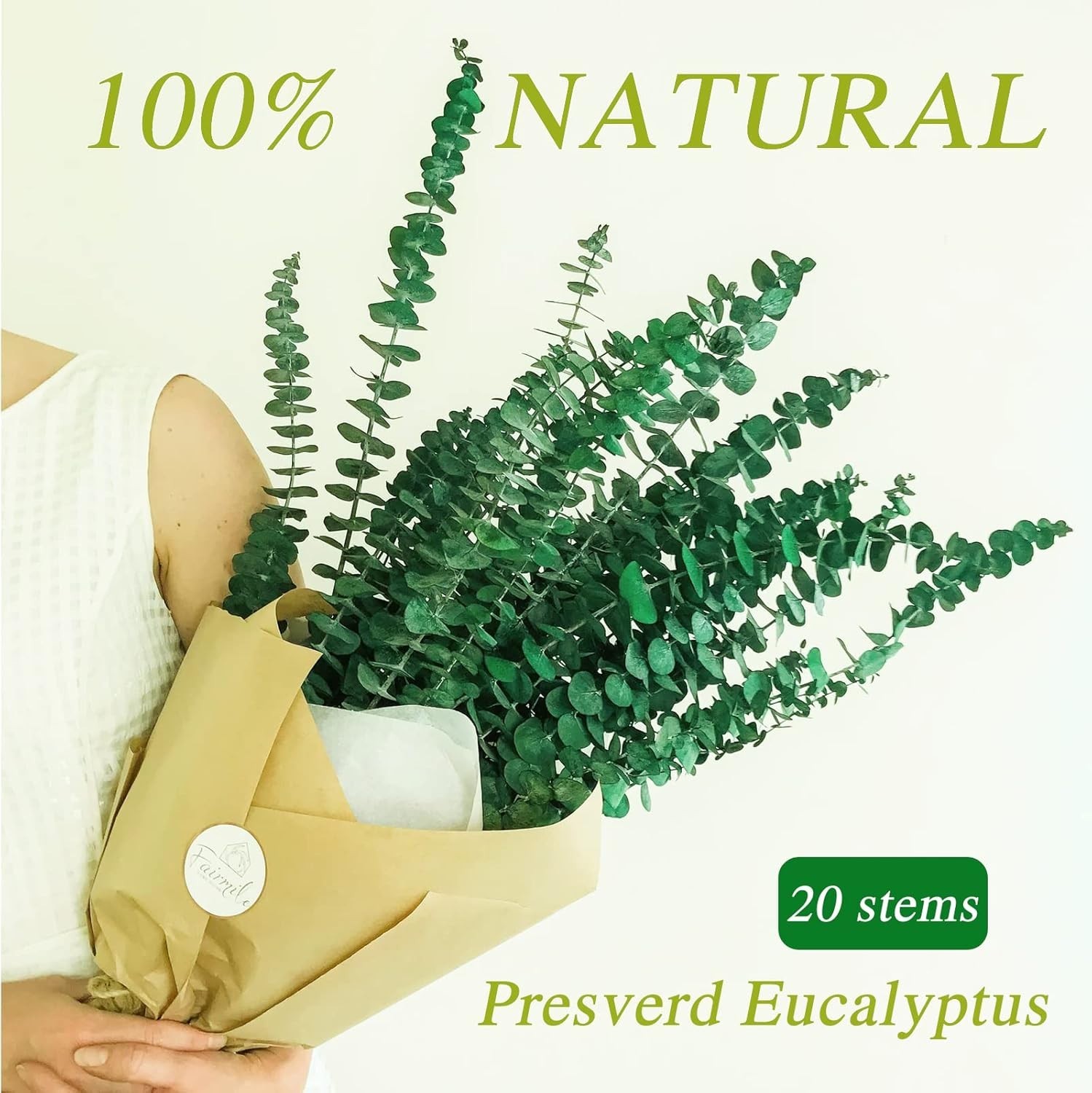 20 tallos de eucalipto secos preservados para Decoración de ducha,Florero Hogar