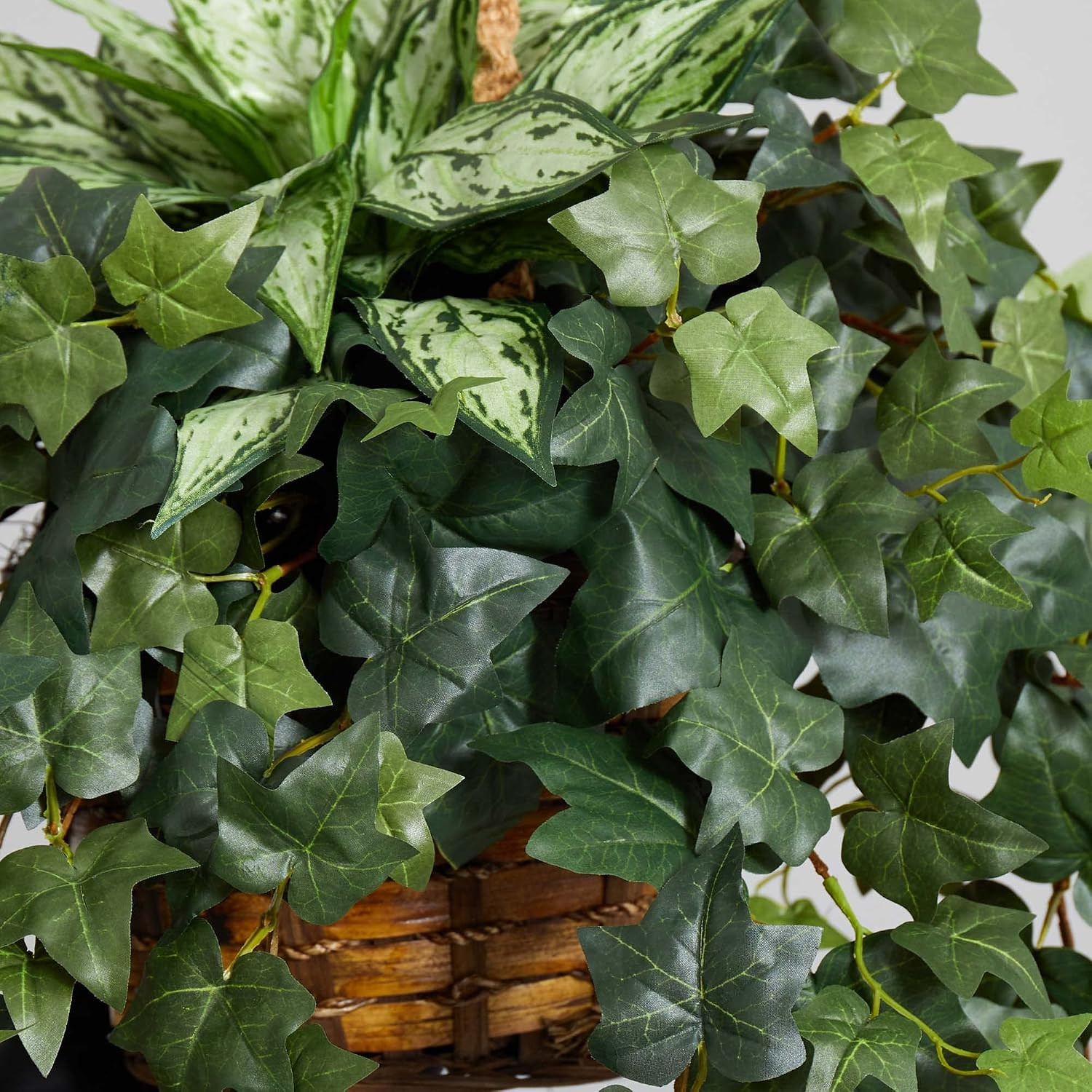 30In. Silver Queen and Ivy Artificial Plant in Hanging Basket