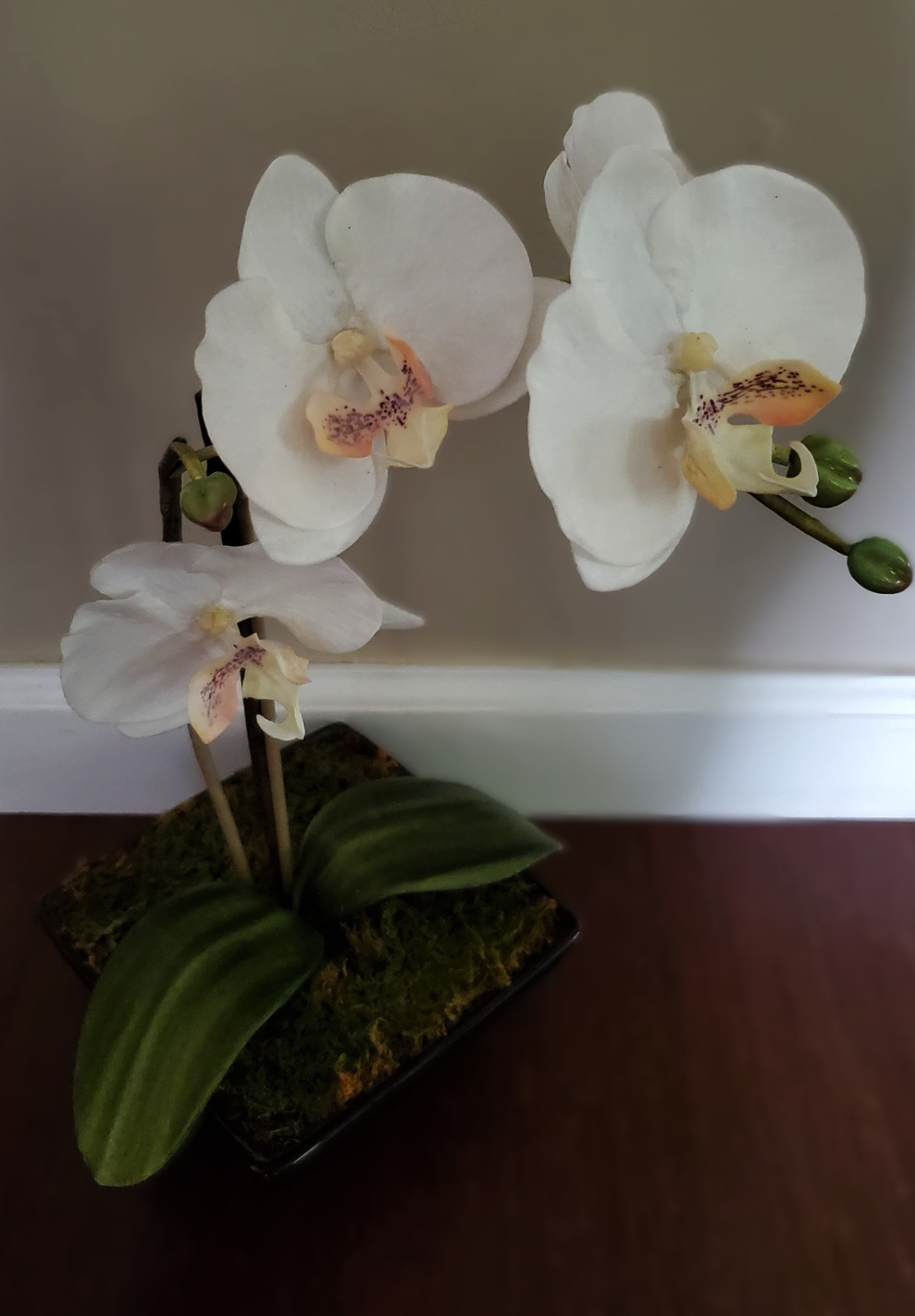 Artificial Flower Arrangement White Phalaenopsis Orchid 16″ in 6x6x2.5 black pot