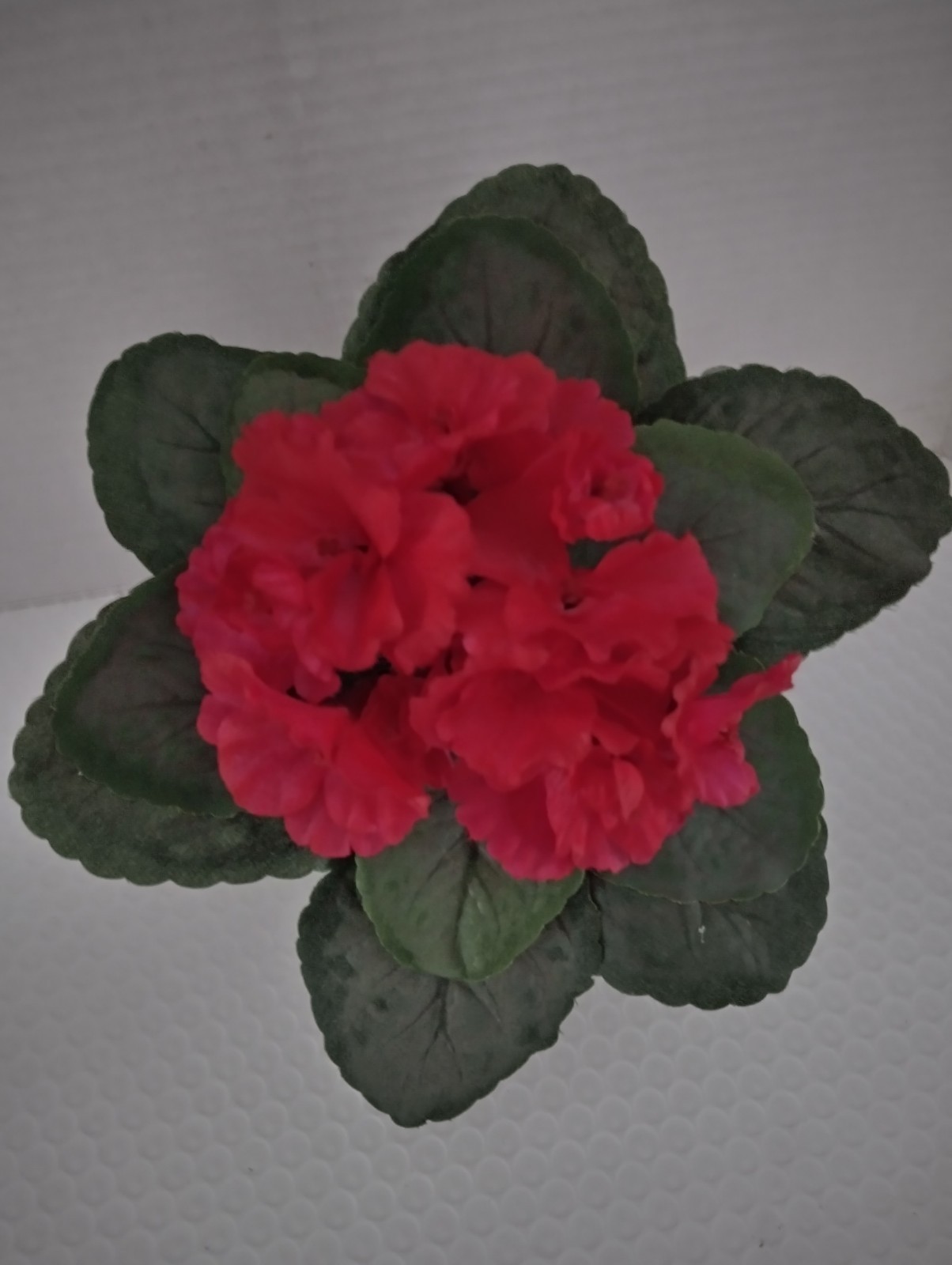 9″ Artificial African violet (Magenta) without pot
