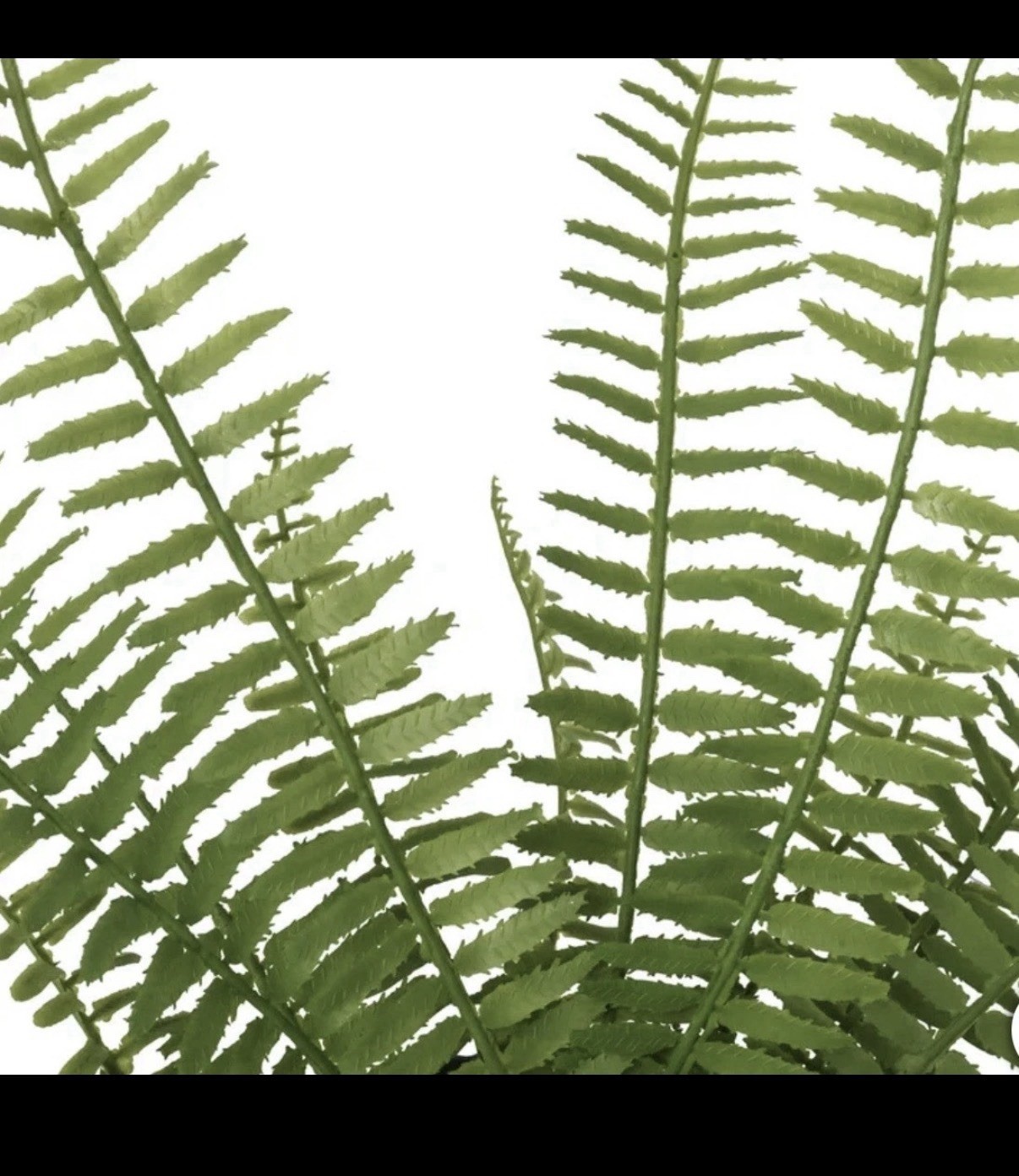 CGH Faux Decorative Plant Trio Indoor Greenery Home Office Decor NEW