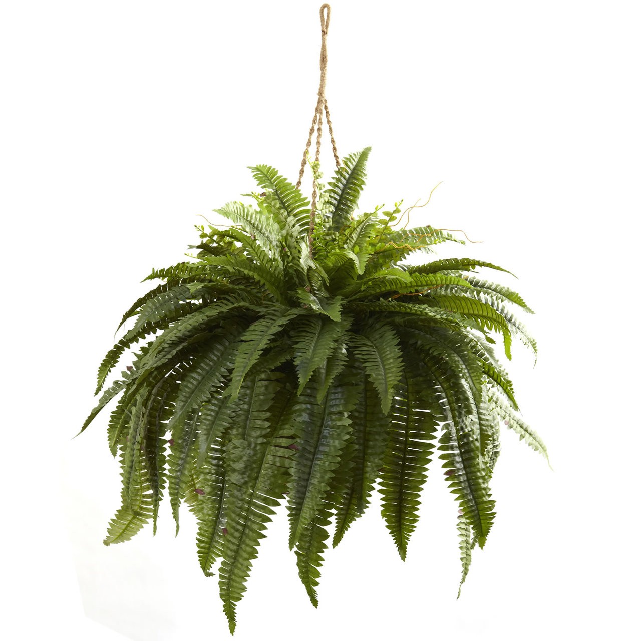 Silk Double Giant Boston Fern Hanging Basket