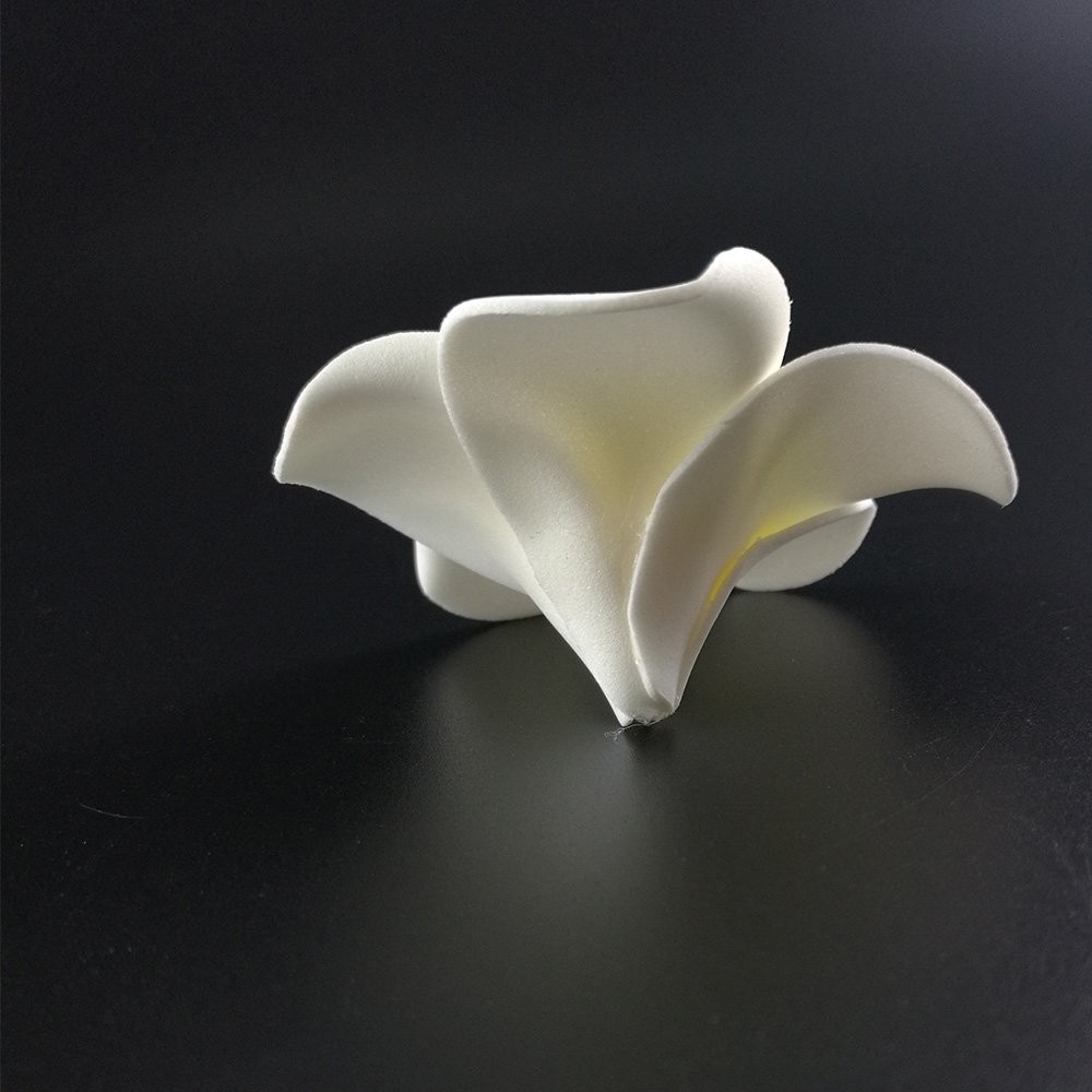 50 Pcs Frangipani Decorative Flower Artificial Foam Plumeria Flowers for DIY …