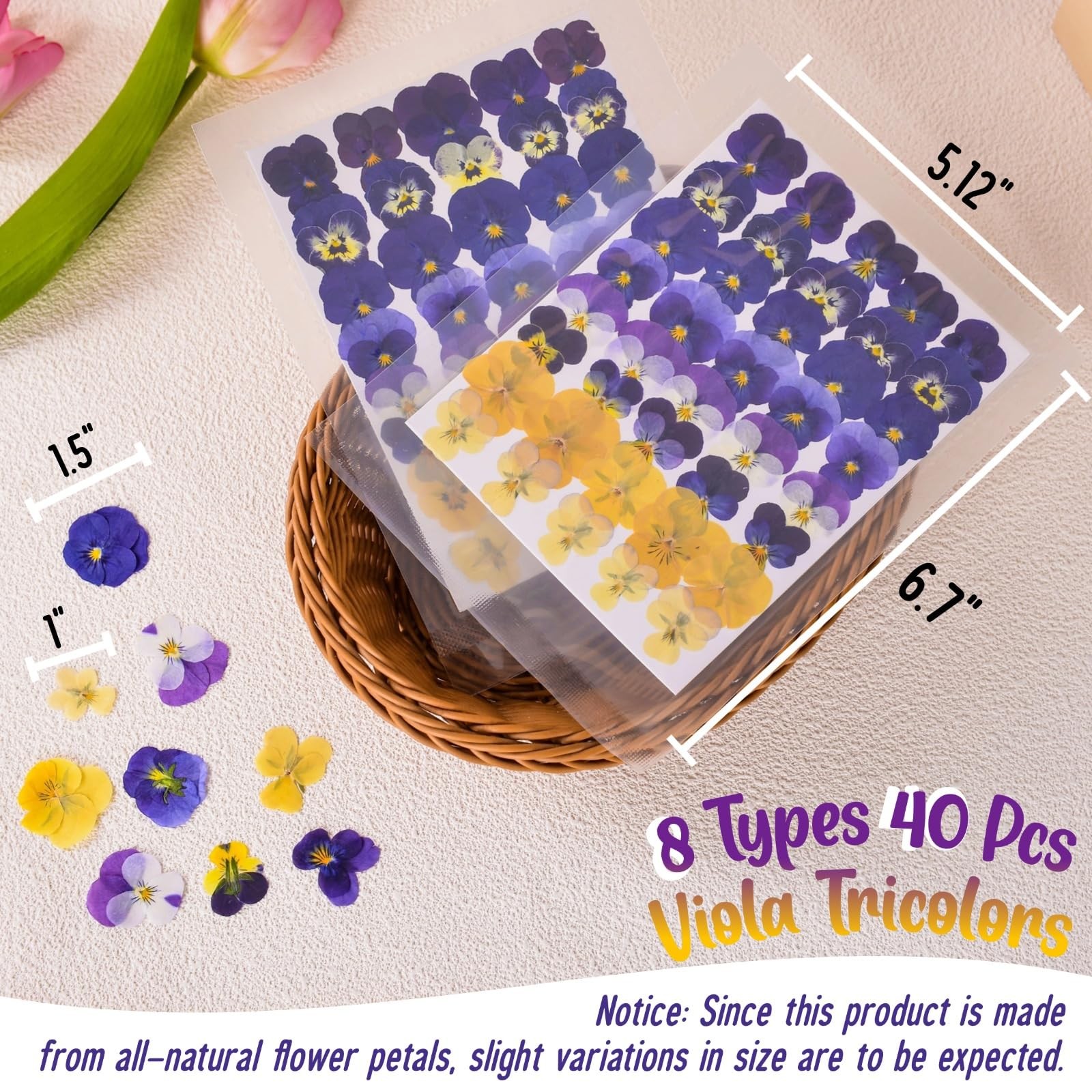 Pressed Edible Flowers, 40 Pcs 8 Kinds, Resin Jewelry Making, Purple