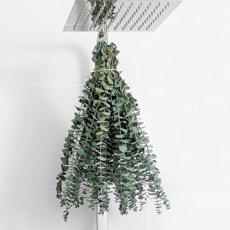 Natural Dried Eucalyptus Stems Aromatherapy Home Decor Wedding DIY Projects New