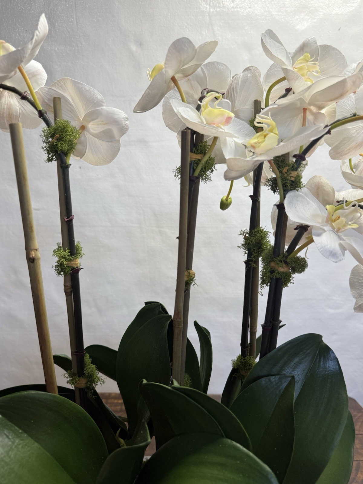 Williams Sonoma Faux Orchids in Cache Pot, 26″ New! Read