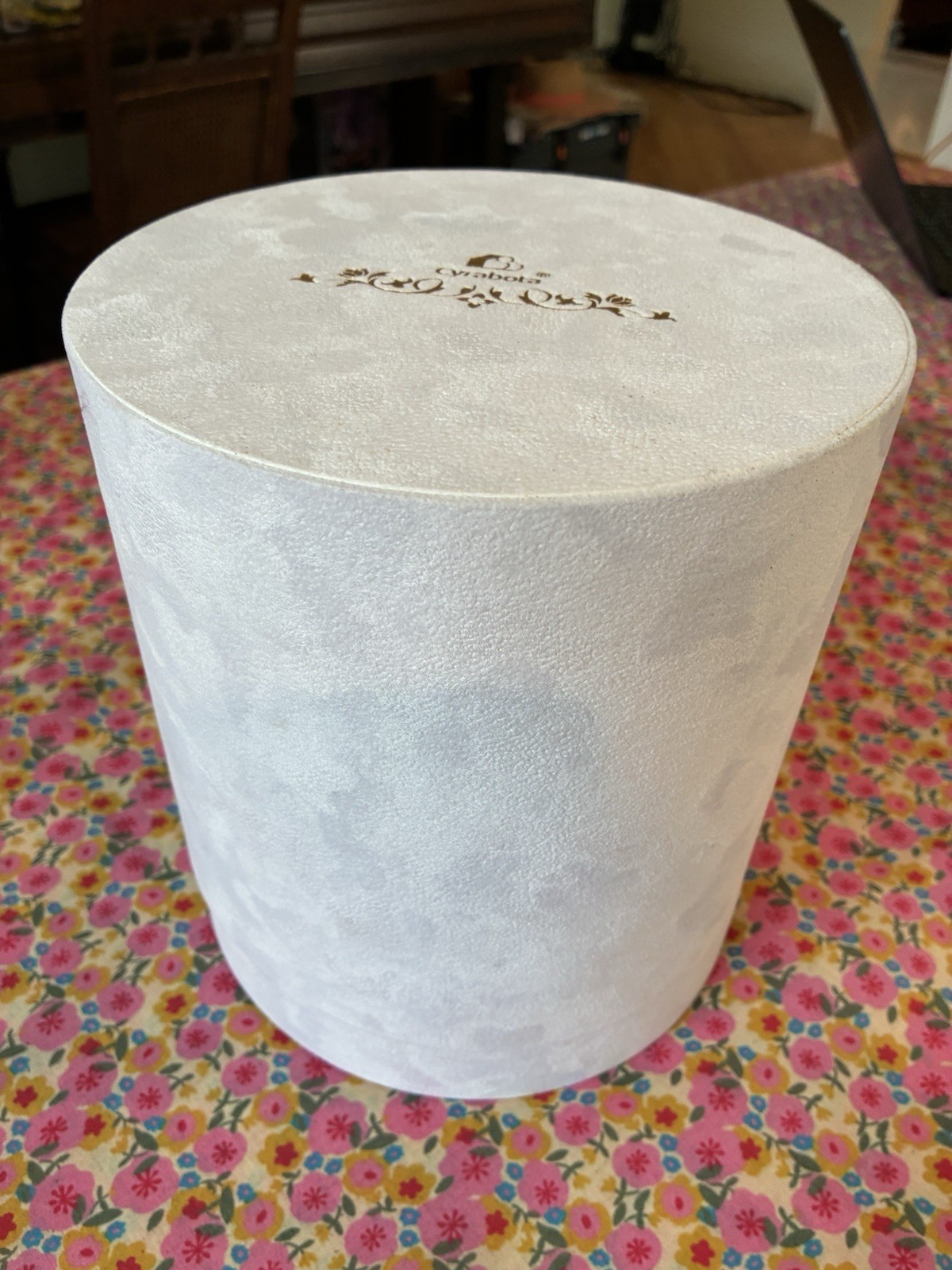 Cyrabota Luxury Preserved Pink Roses in White Suede Box 16 Count