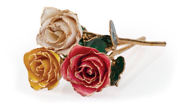 24K Yellow Gold Trimmed White Rose April Diamond White Real Long Stem Rose