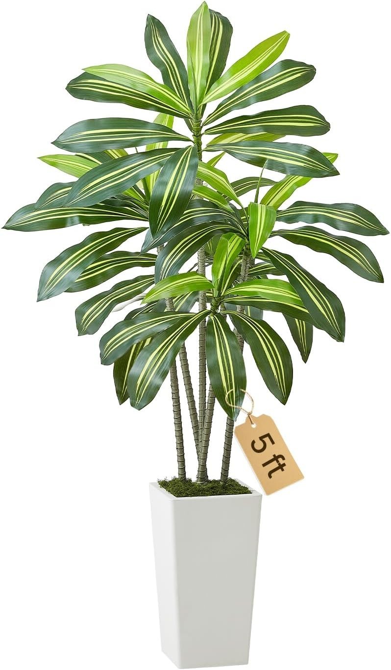 Artificial Dracaena Tree 5 Ft, Fake Palm Tropical Plants with White Tall Planter