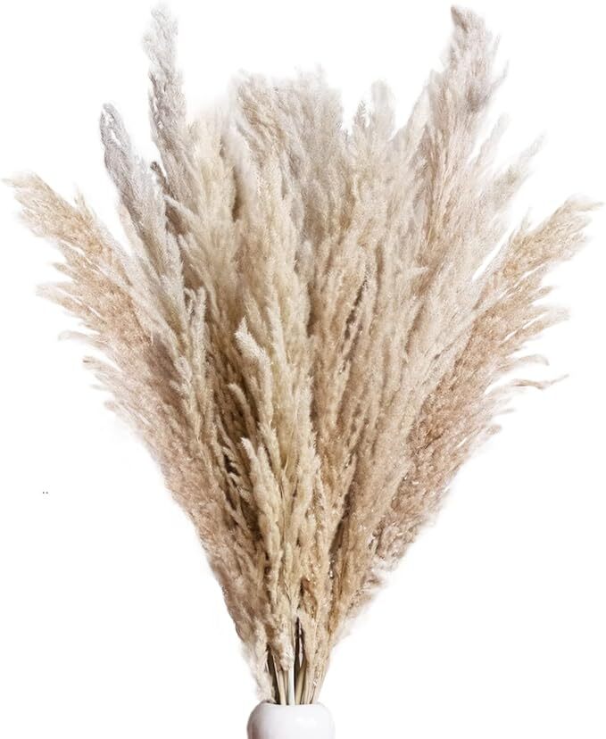 Pampas Grass Decor Tall 45 Inches 10 Stems of Dried Large Pampas Grass No Stench