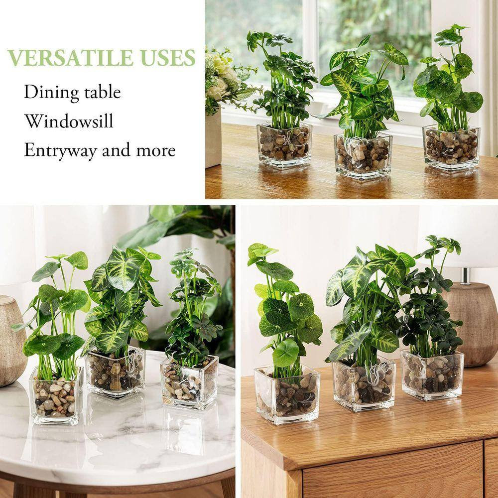 9.5 In. Green Indoor Small Artificial Potted Plants in Clear Glass Pot Set of 3