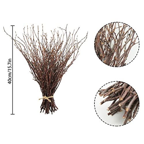 100PCS Natural Dried Birch Twigs – 17 Inch Dried Plants Birch-2 Bundle