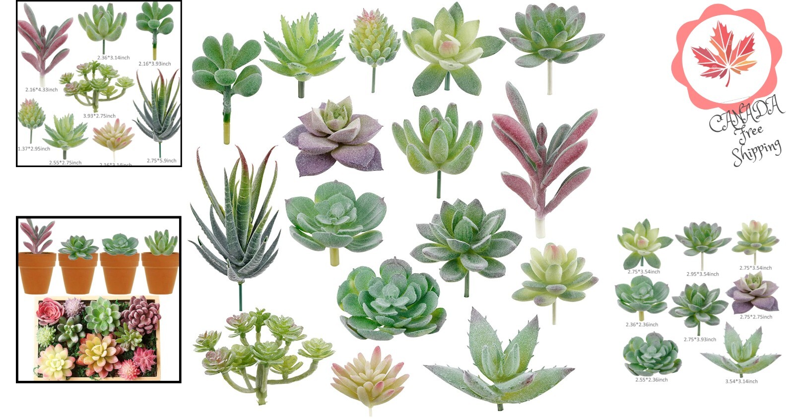 16 Pack Hassle-Free Flocked Succulent Plants – Fresh, No Maintenance Decoration