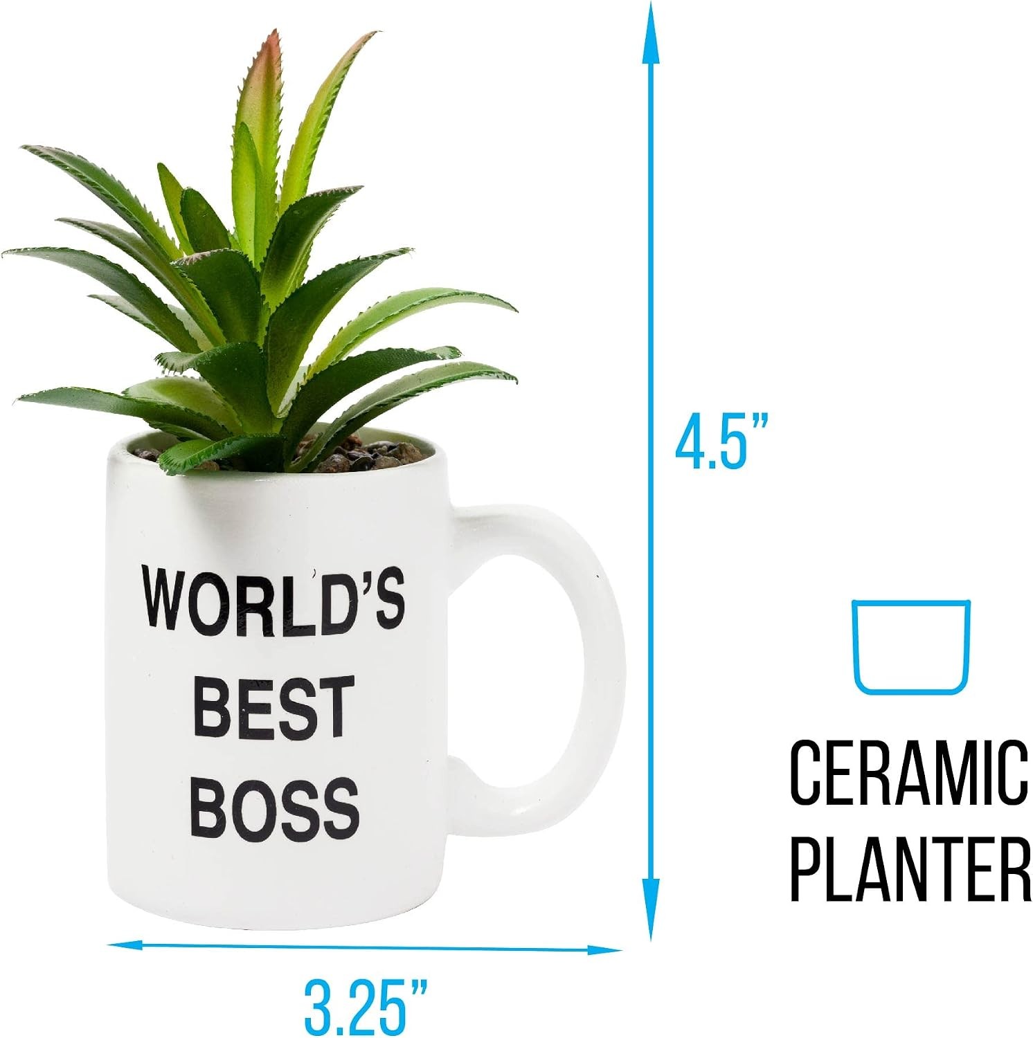 The Office Worlds Best Boss Decorative Artificial Faux Greenery Plant in Ceramic