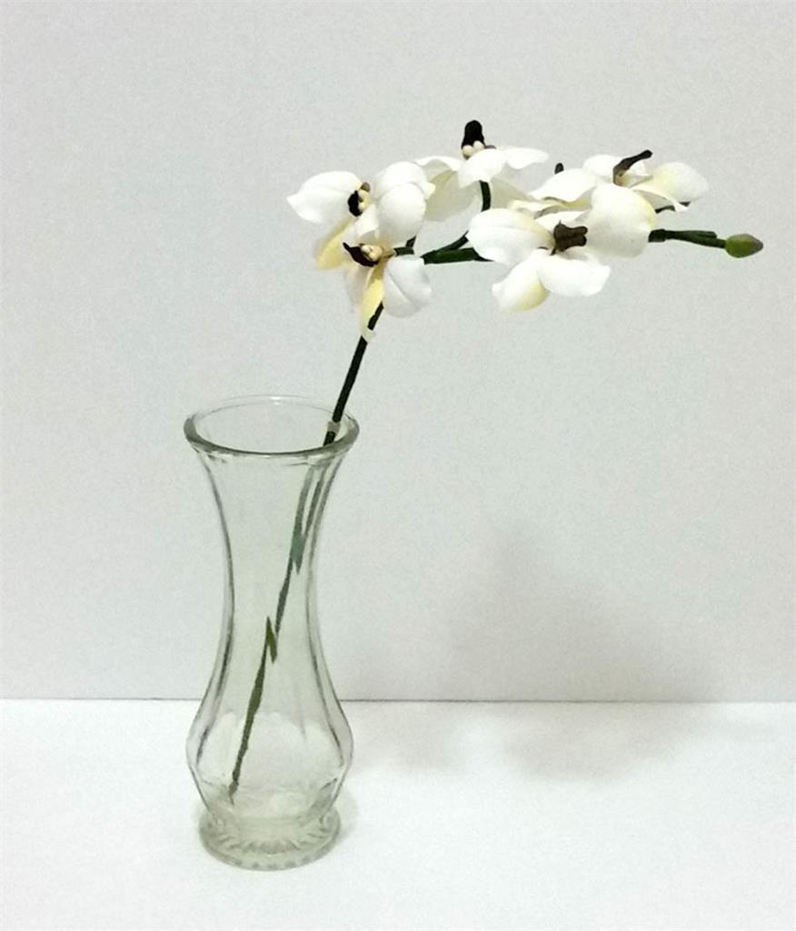 Butterfly Orchid Stems Choose Color