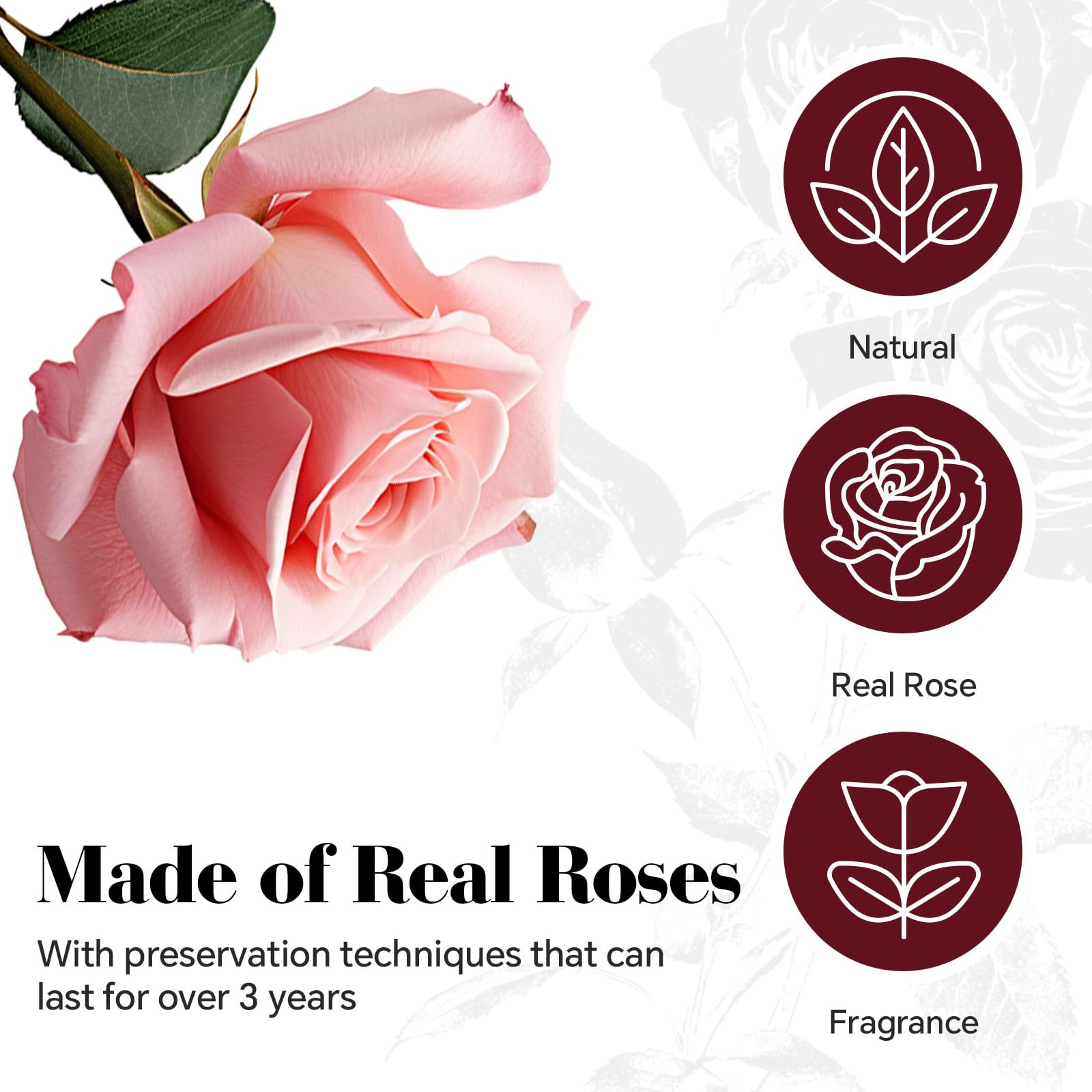 16 PCS Preserved Roses Heart Shape Box Forever Real Gift Pink Women Birthday