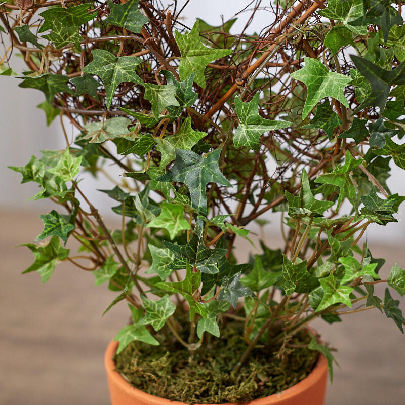 Set of 2 Artificial Climbing Ivy and Grapevine Assorted Potted Plants