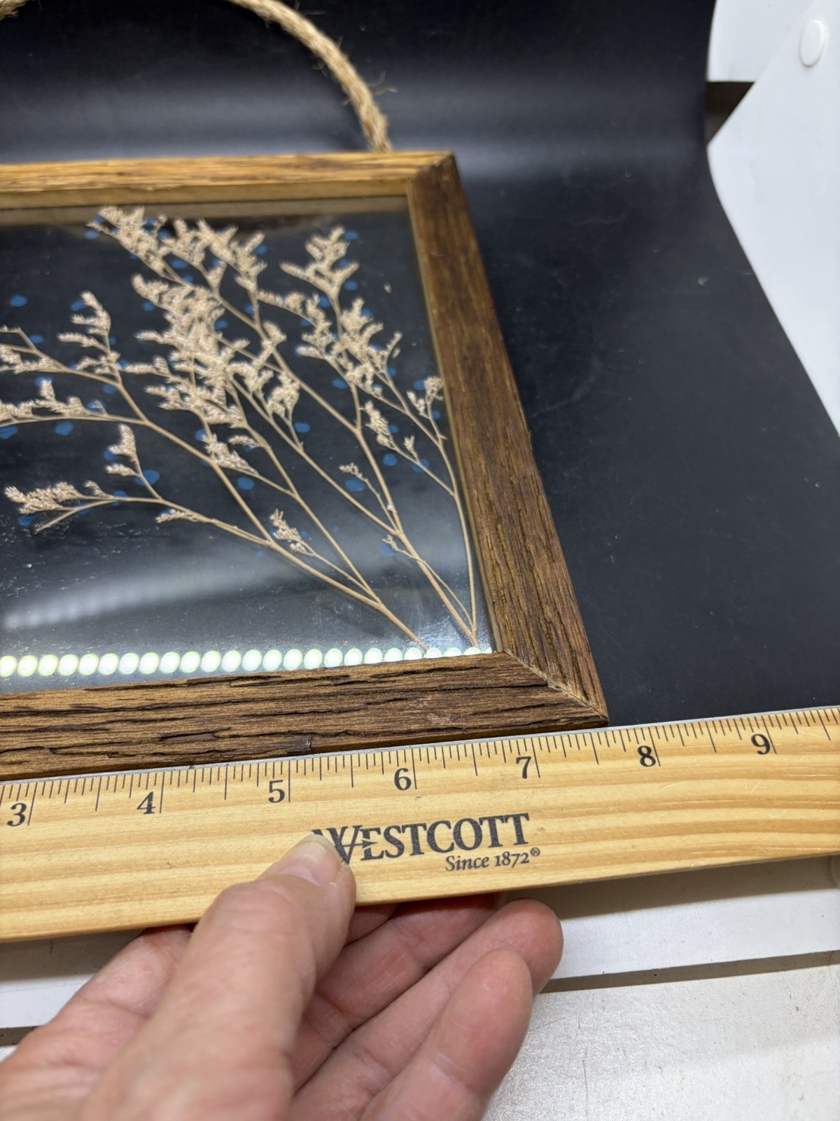 Pressed Dried Flowers in Double Glass Floating Wood Frame