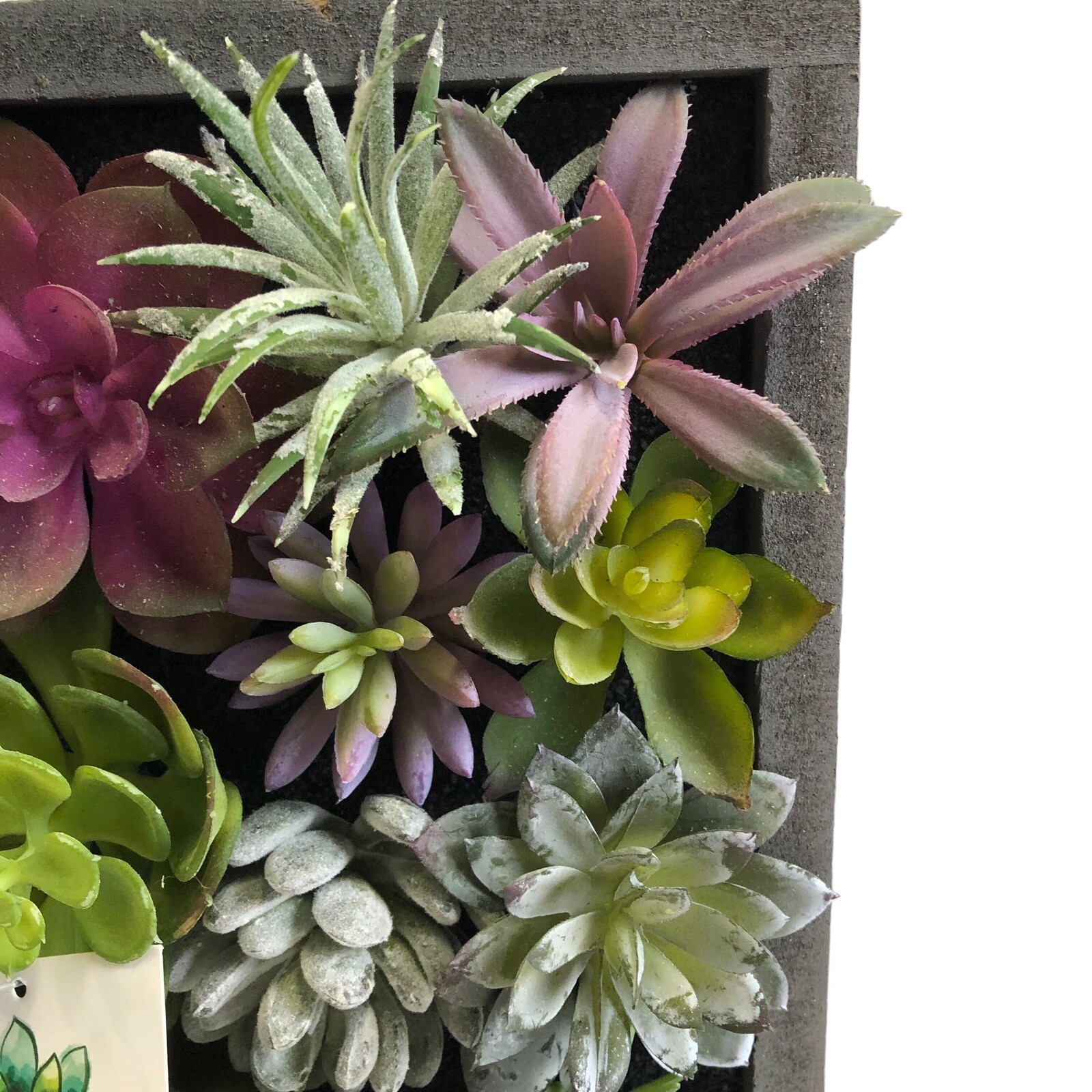 WALL OF FAUX SUCCULENT Cactus in Gray Wood Box Decor Display 12x12x3 inches New