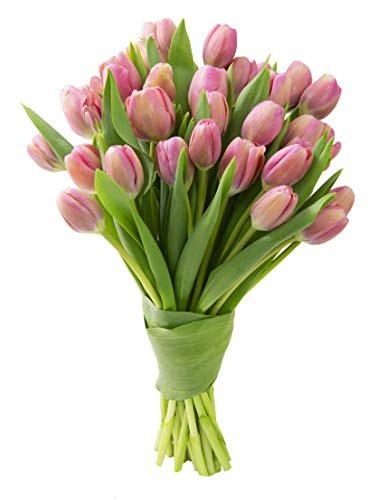 30 Farm-Fresh Pink Tulips – Fresh Flowers for Birthday, Valentine’s & Mother’s D