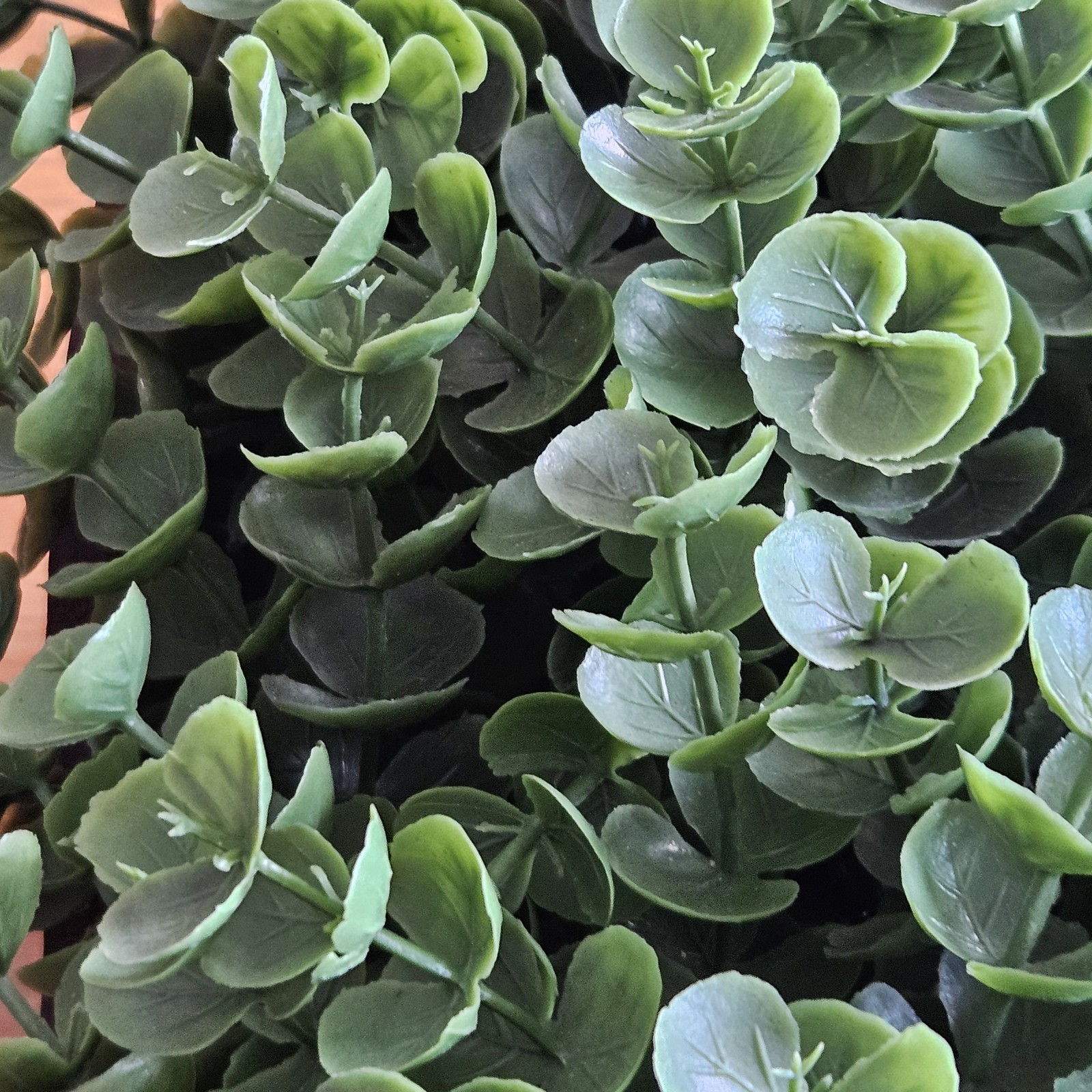 Faux Eucalyptus Boxwood with Cascading Leaves