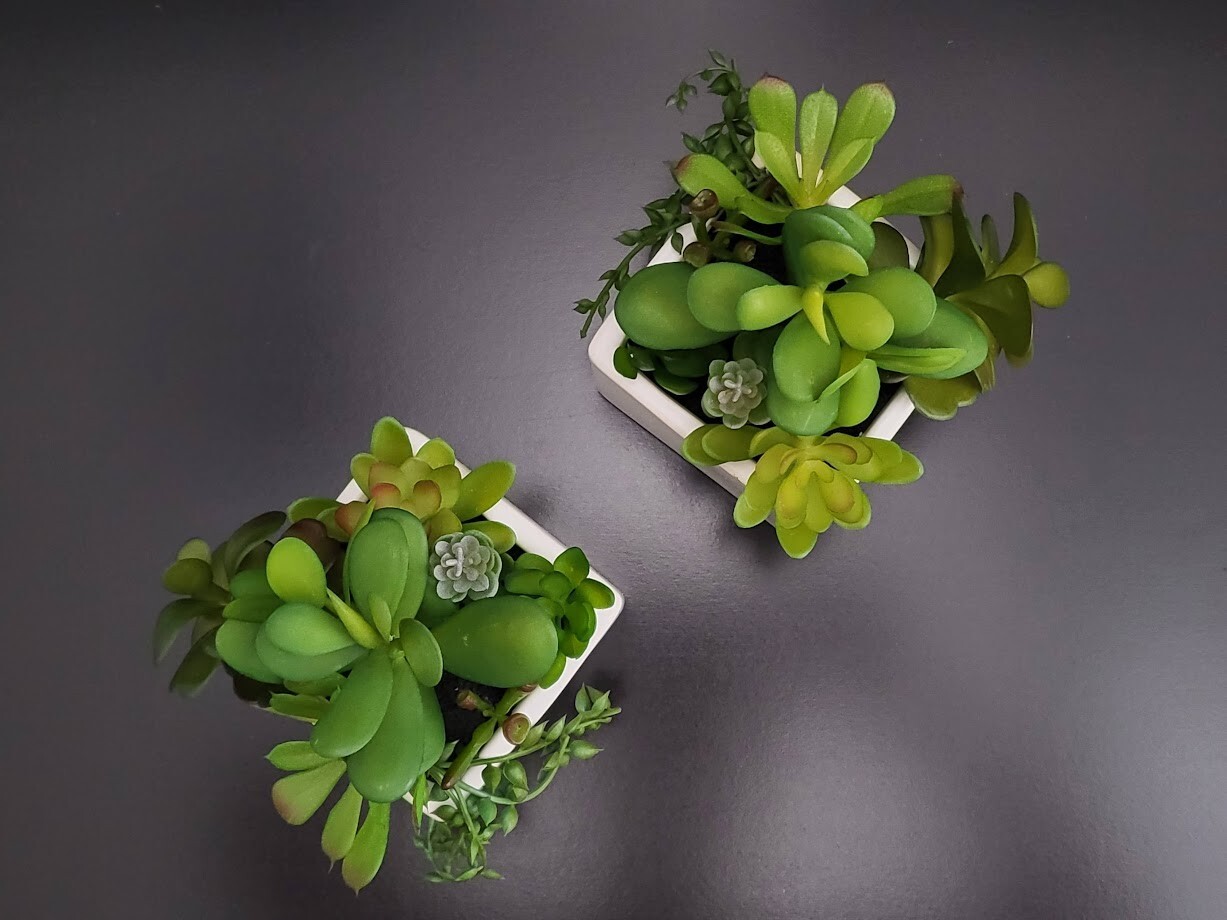 2-Pack Cactus Artificial Succulent Fake Plants Ceramic White Planter Pot 4x4x7