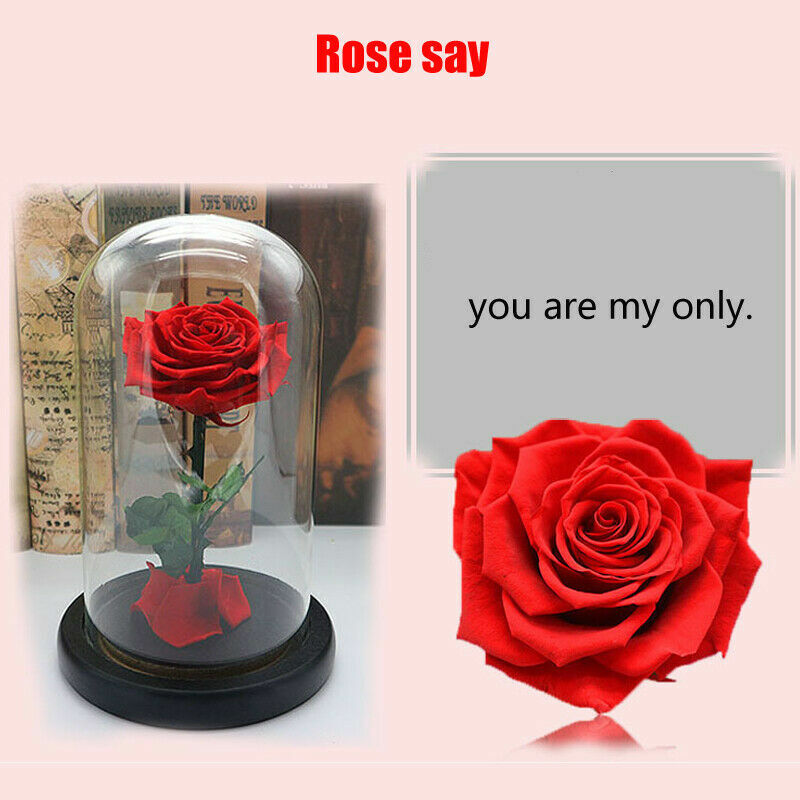 Red Blue Black Pink Forever Flower Immortal Fresh Rose in Glass Valentine’s Day