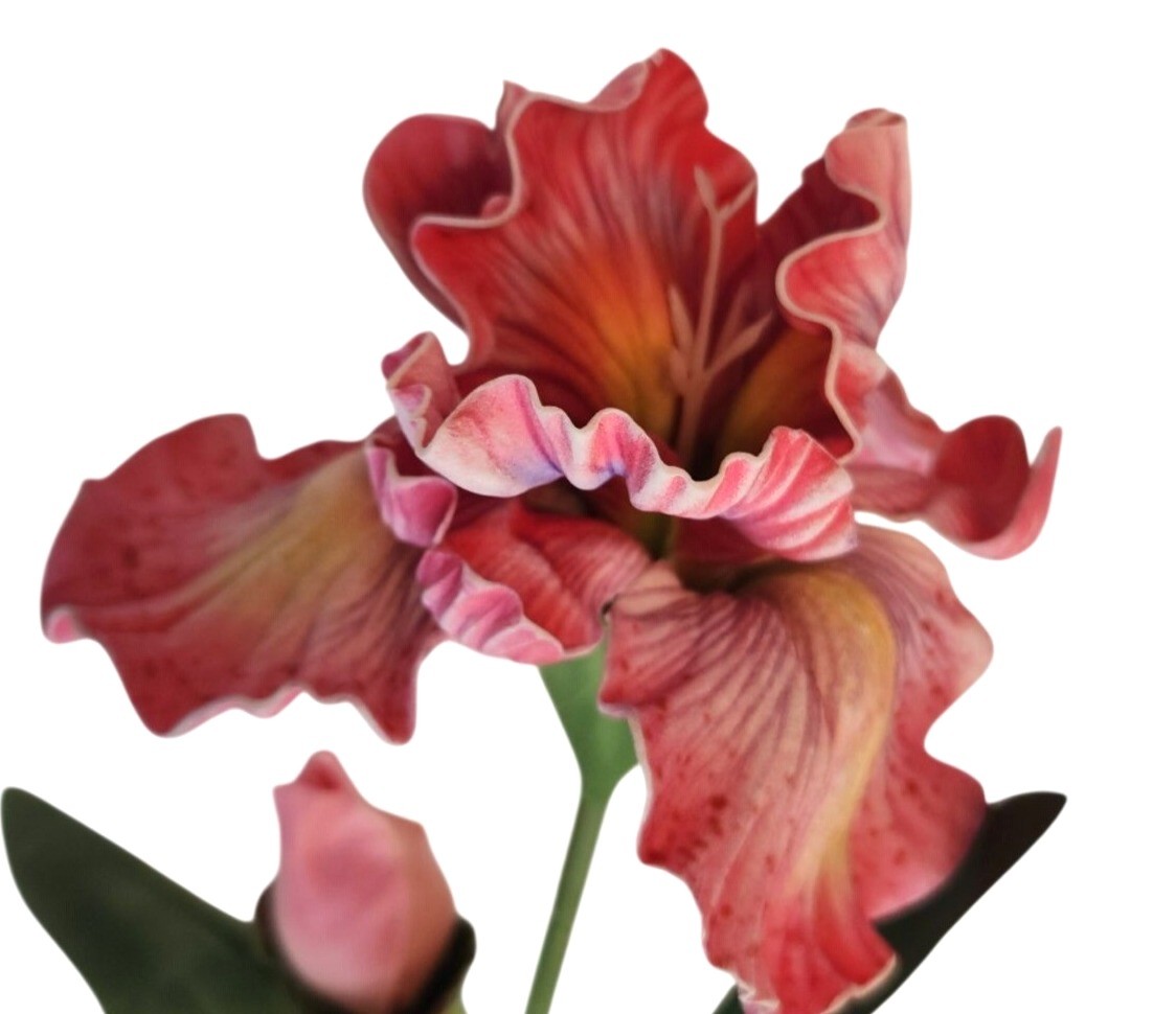 Artificial Iris Flower 33 Inch Tall Pink Faux Iris Stem Hand Painted Look Floral