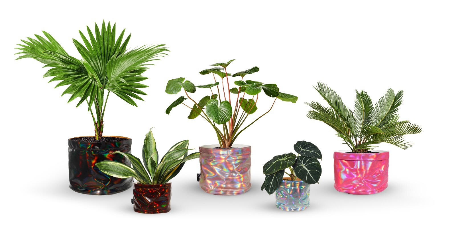 Decorative Flower Pot Cover With Saucer – Plant Basket for Up to 6″ Planter