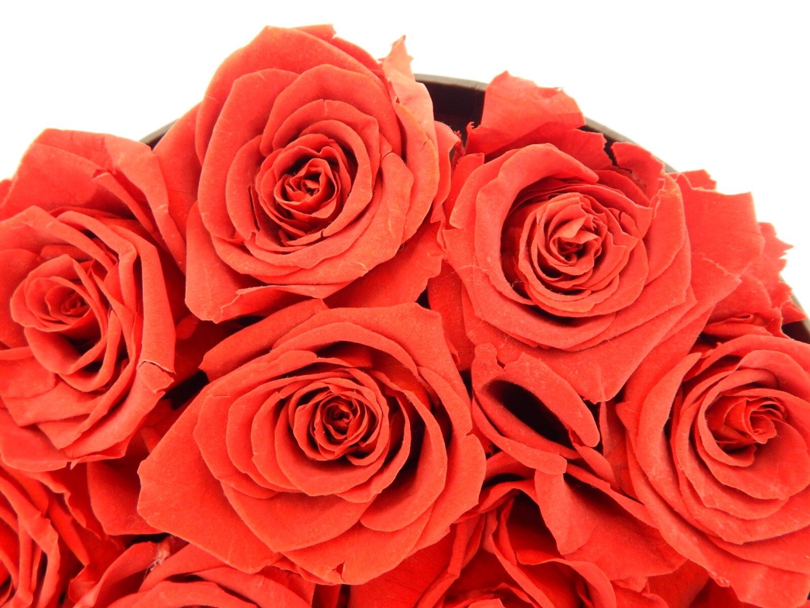 VLove® Forever Preserved Roses in a Box Real Forever Flowers Eternal Rose Red