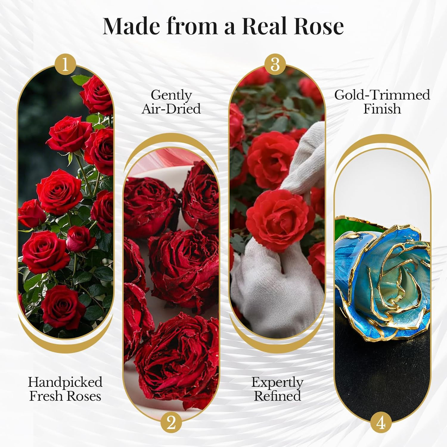 24K Gradient Blue Gold Dipped Realistic Rose Gift Set – Passionate Ombre Eter…