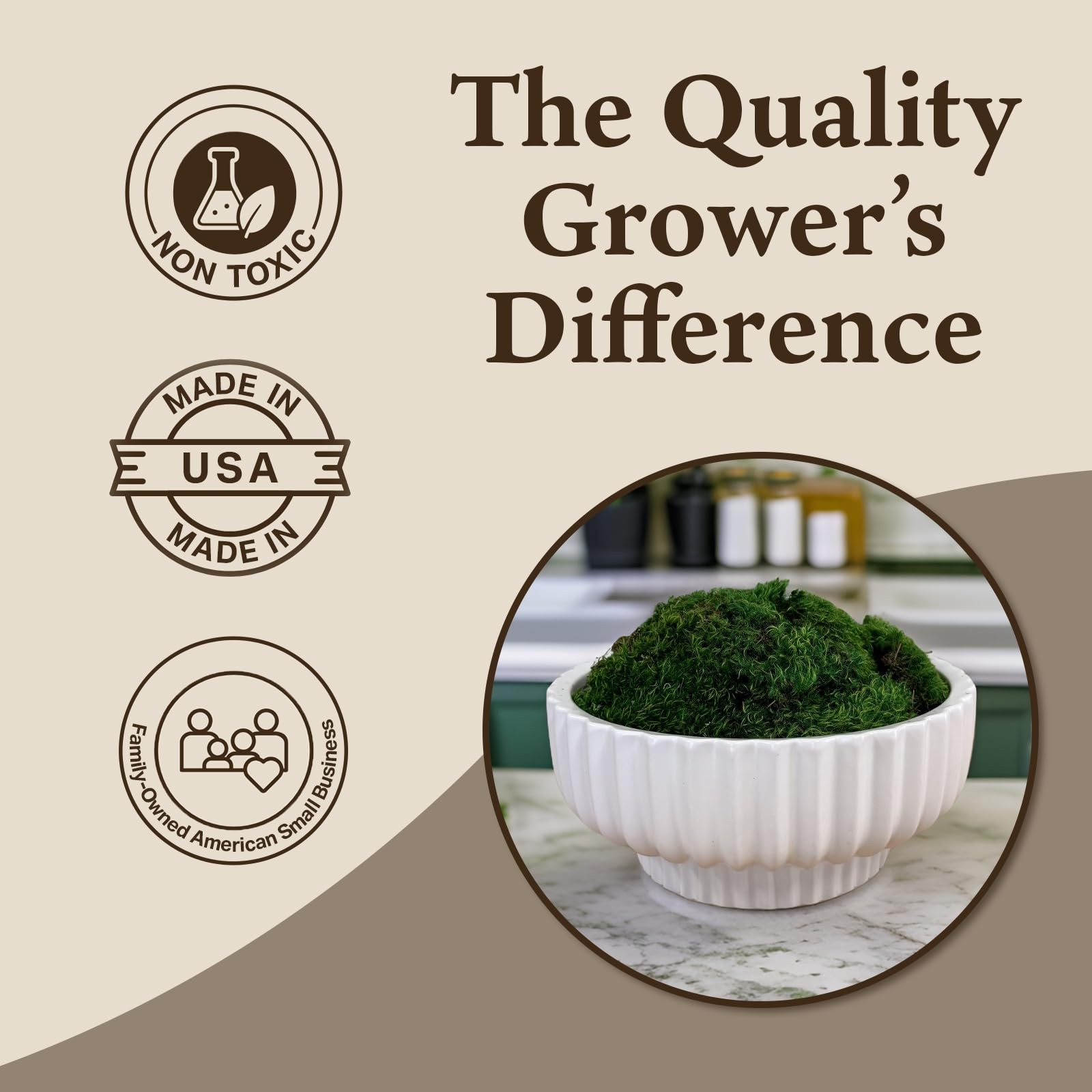 Quality Growers – Preserved Mood Moss – Decorative Moss – Dried Moss for Craf…