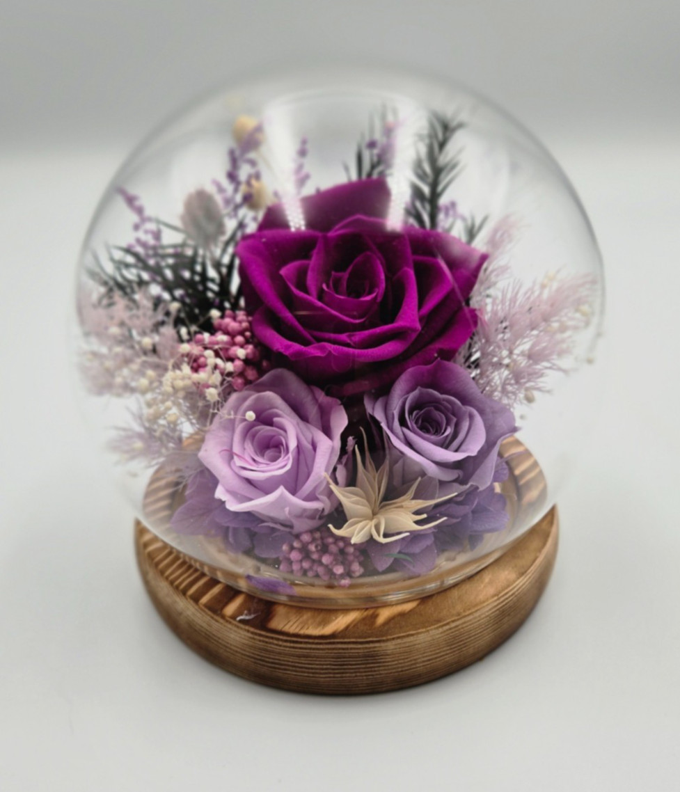 Preserved Roses in Glass Dome with Wooden Base With Light, Purple