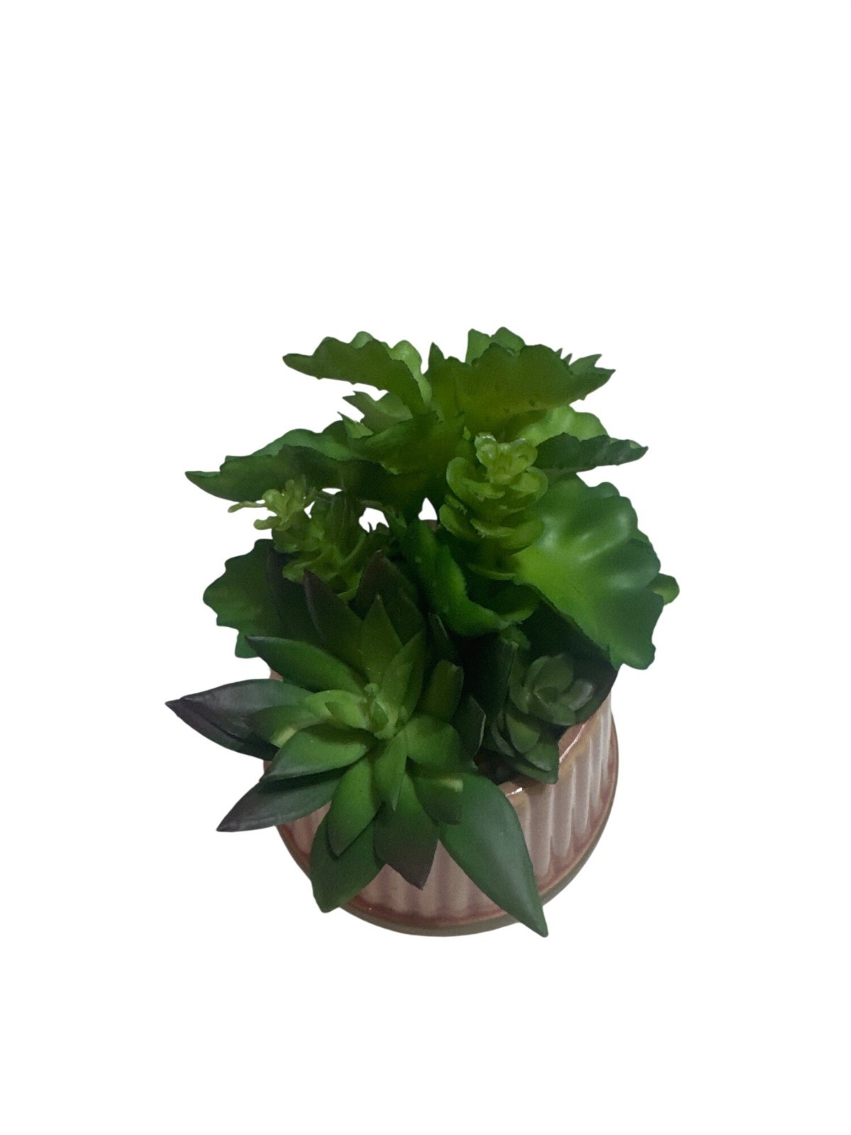 Artificial Succulent Arrangement In Ribbed Ceramic Pink Pot Decorative Greenery