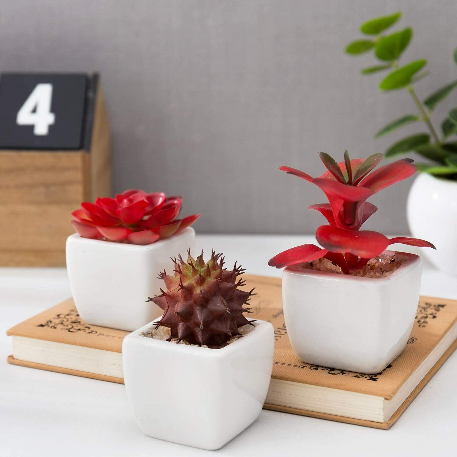 Red Artificial Succulent Plants in White Ceramic Pots, Plant Container, Set of 3