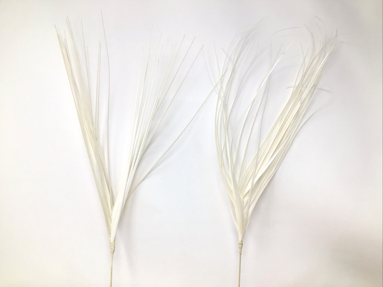 Onion Grass Floral Pick White 27” Arrangement Basket Filler 2 Picks Vintage