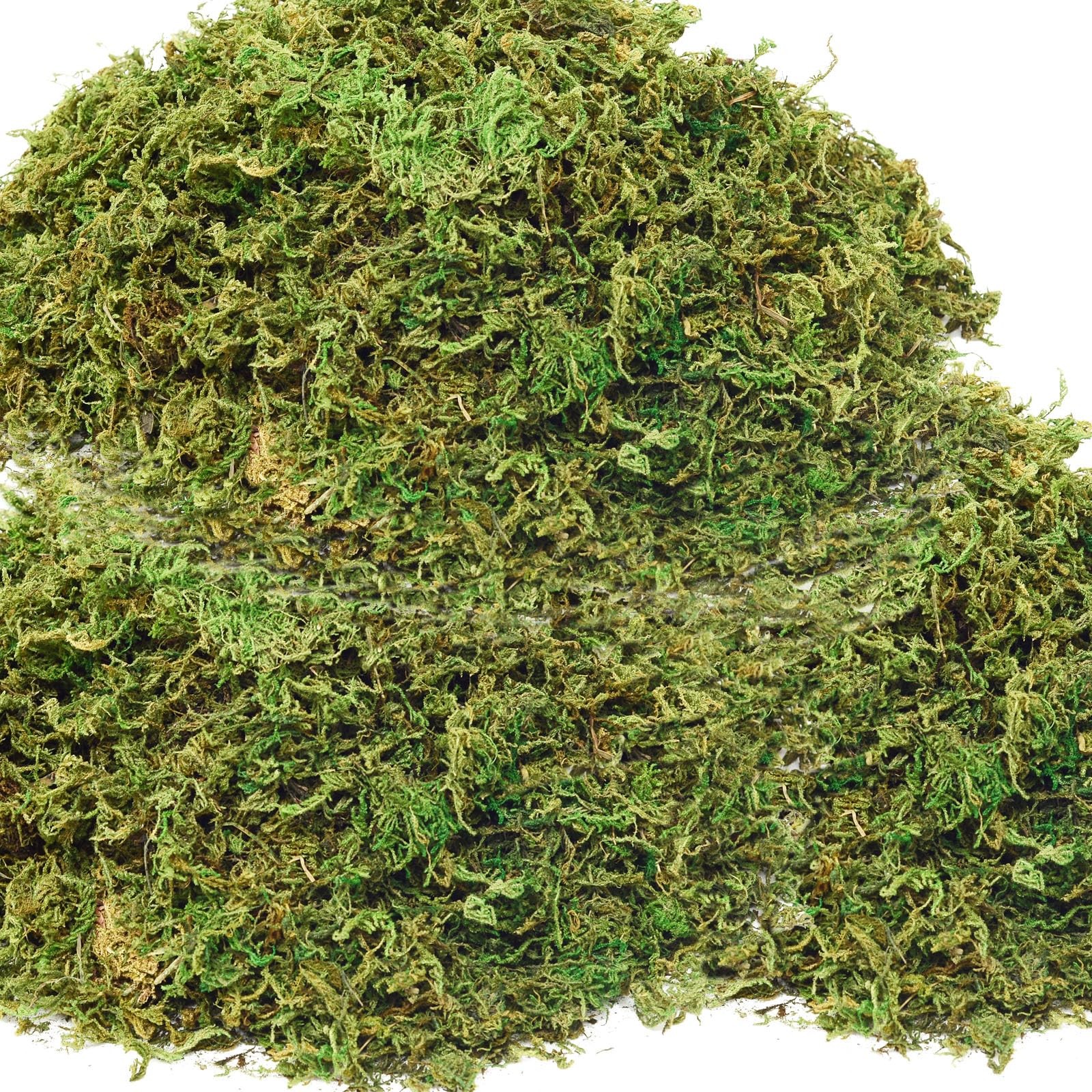 19 Oz Fake Green Moss Potted Plants Artificial Faux Turf Grass Decor Crafts
